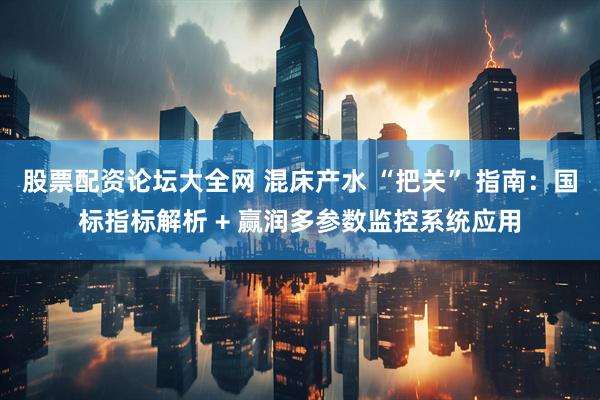 股票配资论坛大全网 混床产水 “把关” 指南：国标指标解析 + 赢润多参数监控系统应用