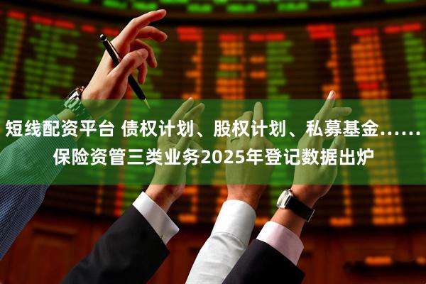 短线配资平台 债权计划、股权计划、私募基金……保险资管三类业务2025年登记数据出炉