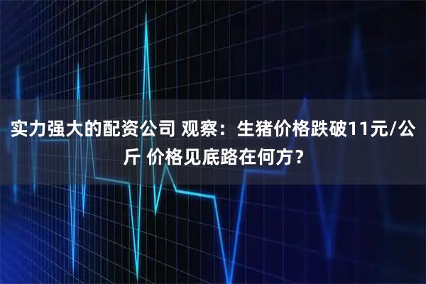 实力强大的配资公司 观察：生猪价格跌破11元/公斤 价格见底路在何方？